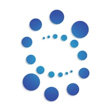 Profile picture for Safrochain Foundation