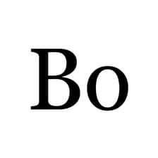 Profile picture for Bo AI