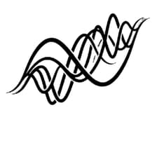 Profile picture for Amyndra Labs
