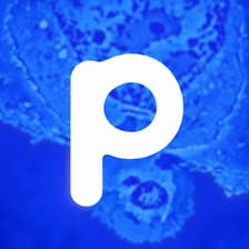 Profile picture for Proteus Bio