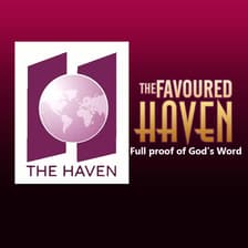 Profile picture for The Favoured Haven