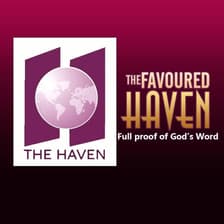Profile picture for The Favoured Haven