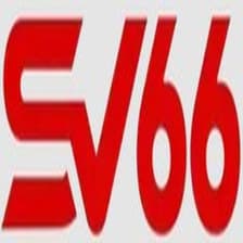 Profile picture for sv66 store