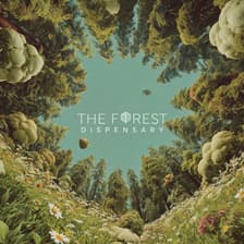 Profile picture for The Forest Dispensary