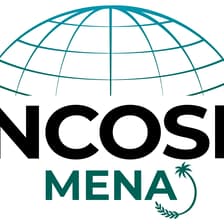 Profile picture for INCOSE MENA