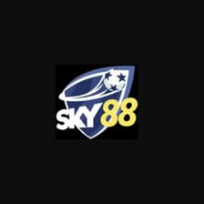 Profile picture for Sky88 Tax
