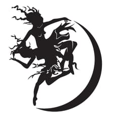 Profile picture for Ecstatic Dance Toronto