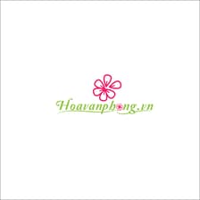 Profile picture for Hoa Văn Phòng