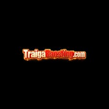 Profile picture for Trại Gà Bảo Sting