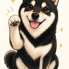 Profile picture for Yiwen C