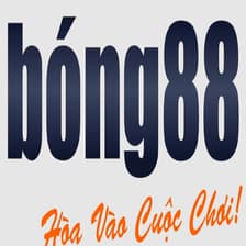 Profile picture for BONG 88