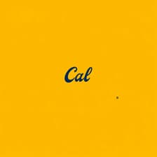 Profile picture for Lelani Clark