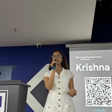 Profile picture for Krishna Mehta