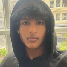 Profile picture for Anish Polakala