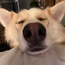 Profile picture for Harry