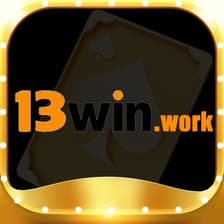 Profile picture for 13winvninnet