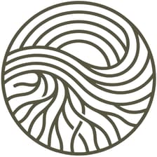Profile picture for Roots & Resonance Foundation