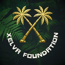 Profile picture for XELVA FOUNDATION