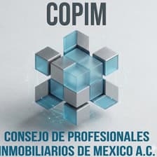 Profile picture for Consejo Copim