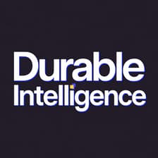 Profile picture for Durable Intelligence