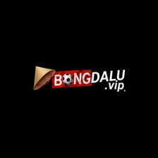Profile picture for bongdalu vip