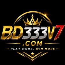 Profile picture for bd333v7 com