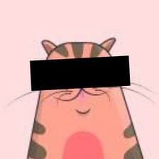 Profile picture for Kit Sturgeon