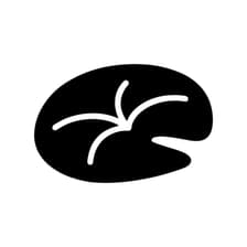 Profile picture for the pond collective