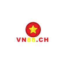 Profile picture for Vn88