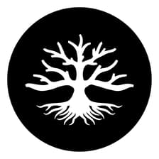Profile picture for Fire & Oak Dispensary