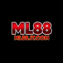 Profile picture for ML88