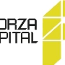 Profile picture for Forza Capital