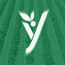 Profile picture for Yadag Technologies Inc.