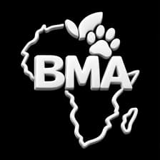 Profile picture for BMA