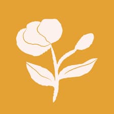 Profile picture for Bright Moments