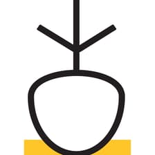 Profile picture for Cyprus Seeds