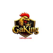 Profile picture for Gakingvn com