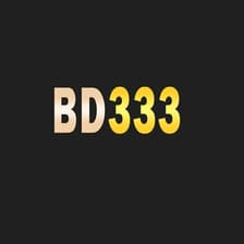 Profile picture for BD333 com