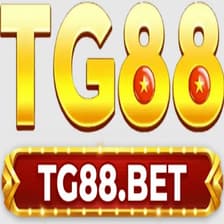 Profile picture for TG88 INC