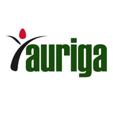 Profile picture for Auriga Nusantara