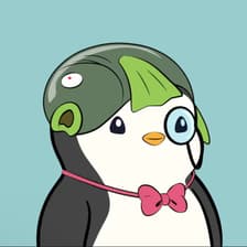 Profile picture for Evan Law