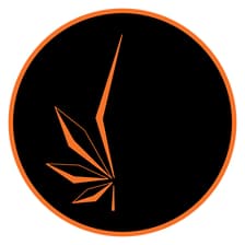 Profile picture for Noviciado Systems
