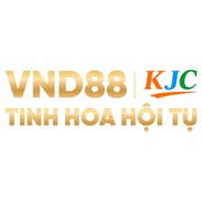 Profile picture for VND88