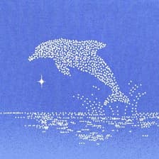 Profile picture for Dolphin