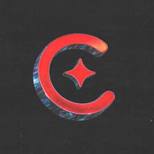 Profile picture for CEIBO
