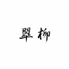Profile picture for Ayako Shida