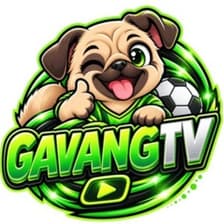 Profile picture for gavangtv.news