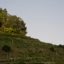 Profile picture for Società Agricola Albarec