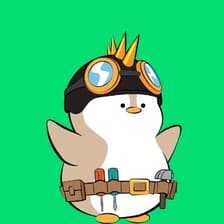Profile picture for Ensar Sevim