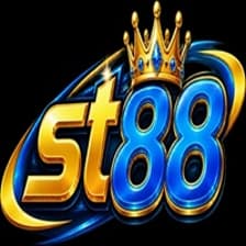 Profile picture for ST88